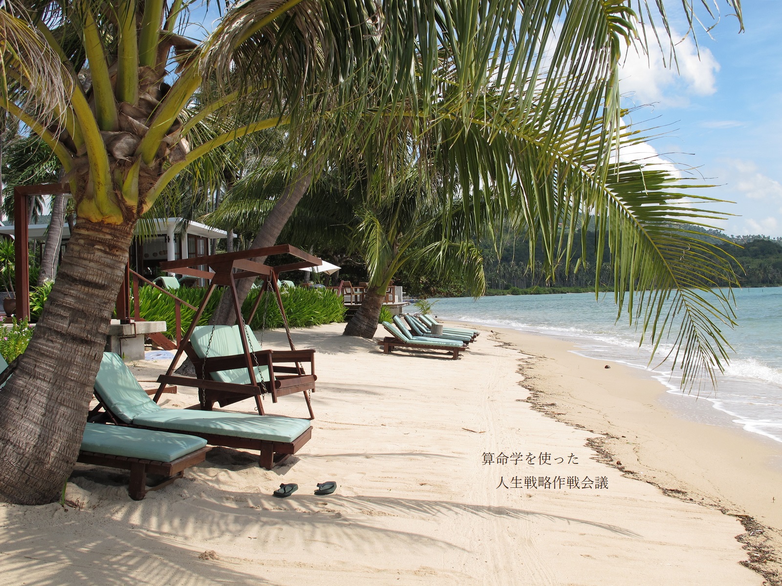 算命学を使った人生戦略作戦会議